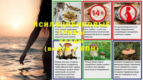 прущие крисы Няндома