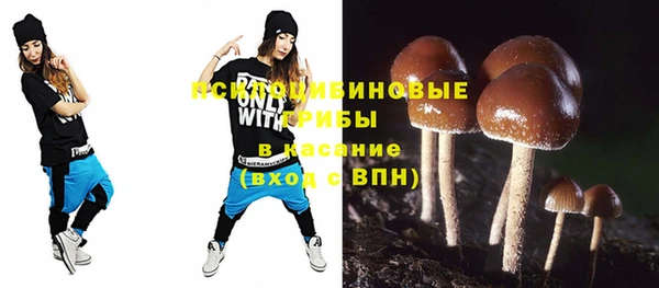 прущие крисы Няндома