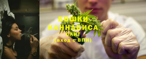 прущие крисы Няндома